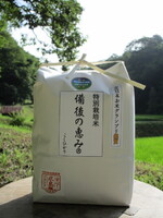 3kg