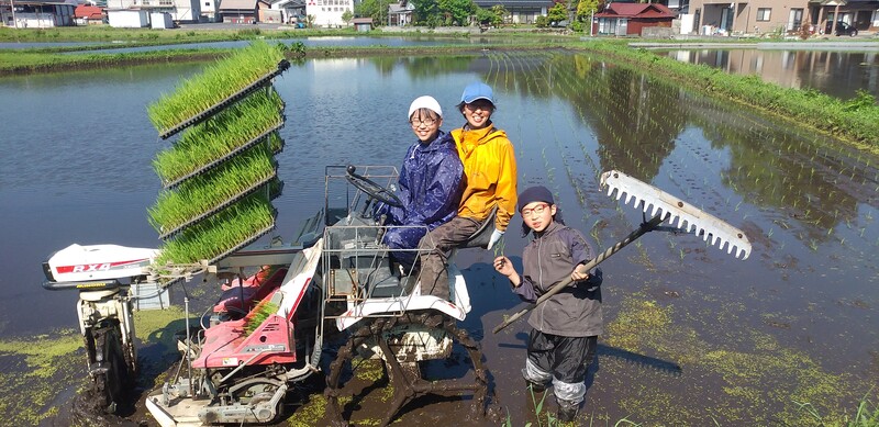 (¥¯¥ê¥Ã¥¯¤·¤Æ³ÈÂçɽ¼¨) ½µËö¤ÎÅÄ¿¢¤¨¢ Çß±«¤ËÆþ¤ê¤Þ¤·¤¿¤¬¡¢º£Æü¤ÏÎɤ¤Å·µ¤