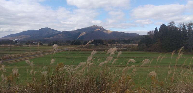 (¥¯¥ê¥Ã¥¯¤·¤Æ³ÈÂçɽ¼¨) ¹ÈÍդλþ´ü¤Ê¤ê¤Þ¤·¤¿ Ä«ÈդϤ«¤Ê¤ê´¨¤¤¤Ç¤¹¡£