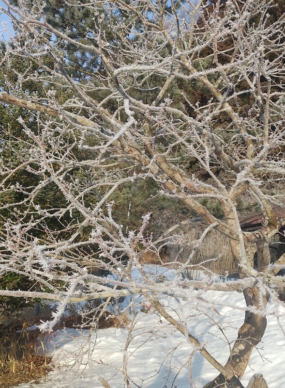 (¥¯¥ê¥Ã¥¯¤·¤Æ³ÈÂçɽ¼¨) ̸ɹ ´¨¤¤Æü¤¬Â³¤¤¤Æ¤¤¤Þ¤¹¡£