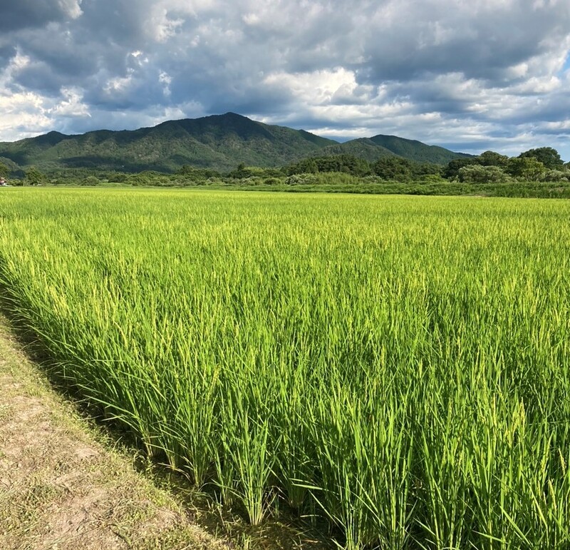 (¥¯¥ê¥Ã¥¯¤·¤Æ³ÈÂçɽ¼¨) ¿·ÊÆÍ½Ì󳫻Ϥ·¤Þ¤·¤¿¡£ ½ë¤¤Æü¤¬Â³¤¤Þ¤¹¤Í¡£