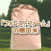 �ե��쥹�ȥե������ȯ�긼�ơ�̵������̵ź�á�