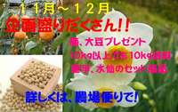 20ǯ���ޥ󥲥ĥ���ʤ���ơˡ������������ǹ���