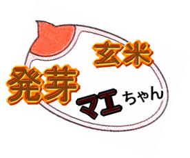 ��ȯ��ޤ�������ƥ����ҥ����