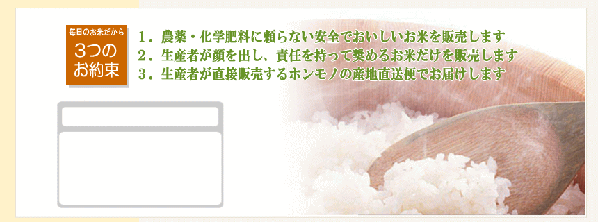 コシヒカリ