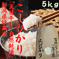 ɴϤơŷơˡ硡