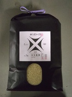 ƻܸ긢κǽͤ˥Υߥ͡Ȥޤ 