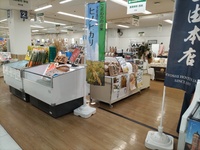 ��Ŵɴ��Ź�Ǥ������� 