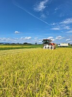 クリアランス 茨城県 茨城町農地 1200坪 水田