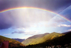 1. �쥤��ܡ� 