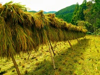 ���̺����ơ� ���ޤ���ε������ݤ������������硡