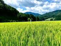 Ϥϳȴ500m