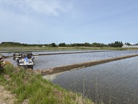 �Ŀ��������Ⱦ����ǽ����ޤ� 