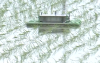 ܥåȽ