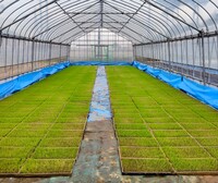 �ס������ 