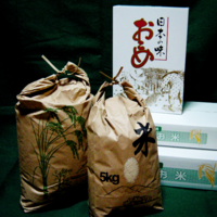 令和4年 千葉県産 有機栽培コシヒカリ（ちばエコ米） 精米10kgの