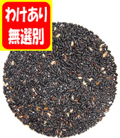 ��櫓����� ���㸩���ֹ��ơ������餵���ס�ͭ�������ơ�