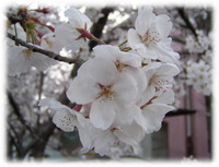 줤ʺǤ 