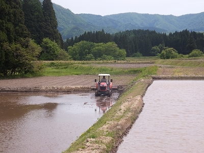 夫档 