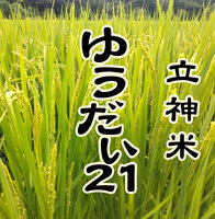 ΩƤ椦21