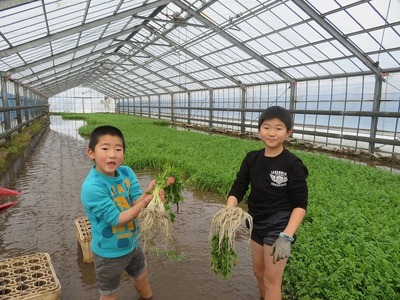 クオリティ飛騨 - 安全で美味しいお米を生産者から直接購入