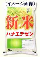 30kg  äꤷγߤʤ顢ϥʥʡ温ơ