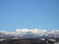 ǯ¢