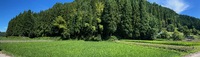 ���餫��̾����缫�����Ϥ�������������������