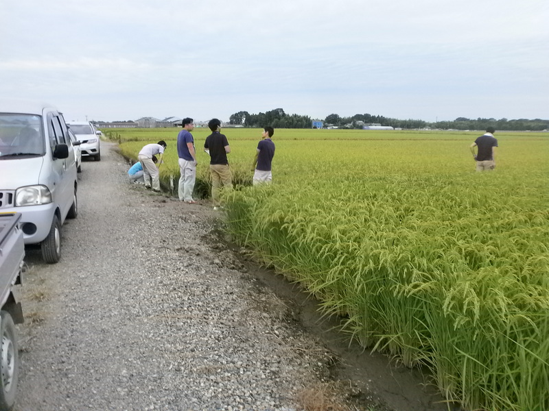 (クリックして拡大表示) 県認証特別栽培米の現地確認行われる。 現地確認