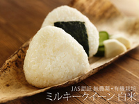 ���ߥ륭��������100�� ̵����JASͭ������