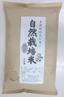 自然栽培米　コシヒカリ　玄米