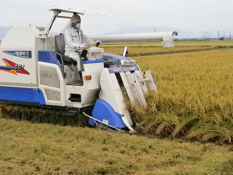 (クリックして拡大表示) 稲刈りを終えました。 稲刈り終了