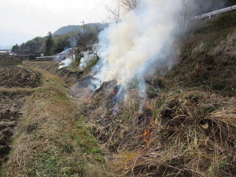 (クリックして拡大表示) 排水路の土手焼き 火遊びは面白い