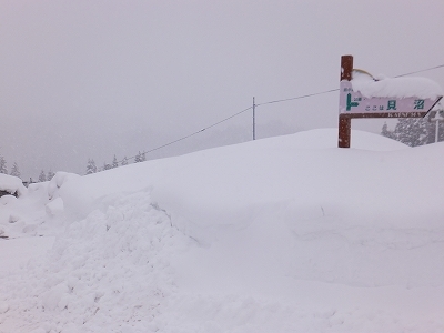 (クリックして拡大表示) 貝沼が埋まる〜。 昨日朝の貝沼(貝沼:我が家がある地区名)。