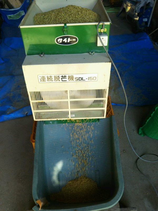 (クリックして拡大表示) 種もみの野毛取り作業 脱芒機
