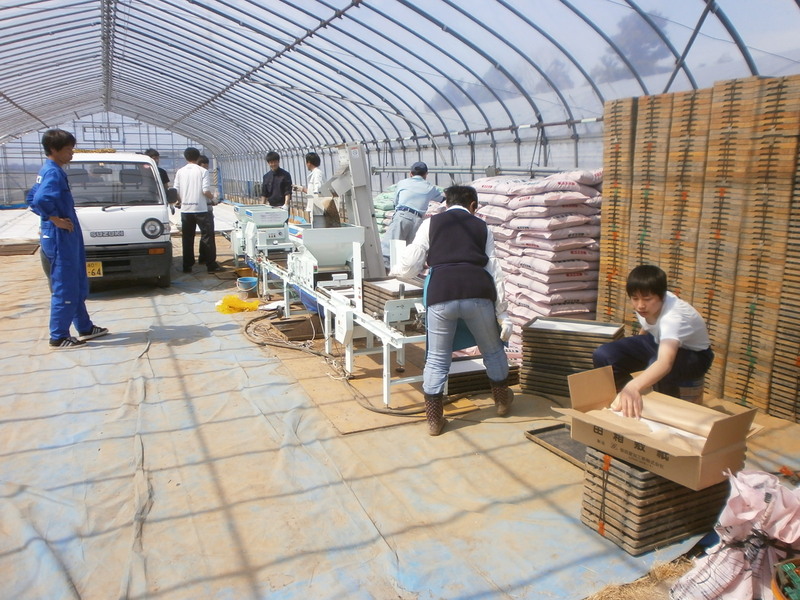 (クリックして拡大表示) H28年産の稲の種まきをしました。 種まき