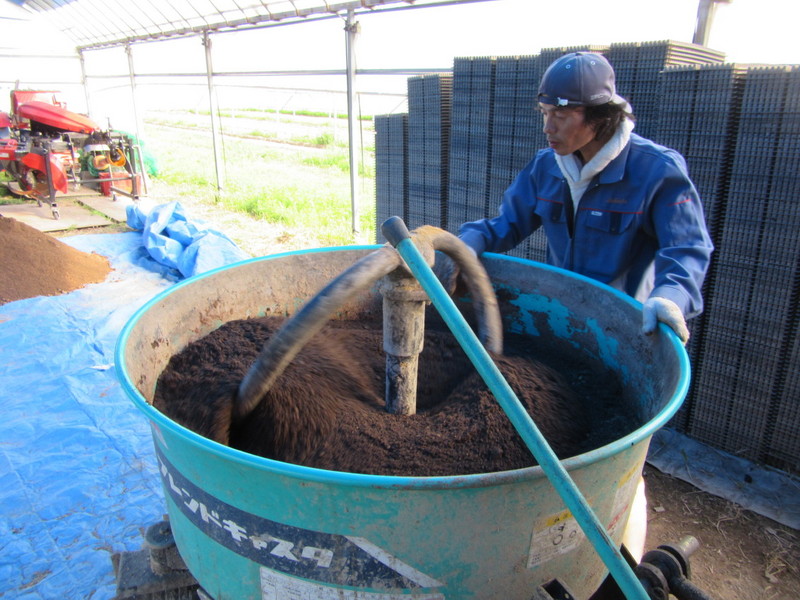(クリックして拡大表示) ポット苗箱用培土作り 地味〜だが手が抜けない大切な作業