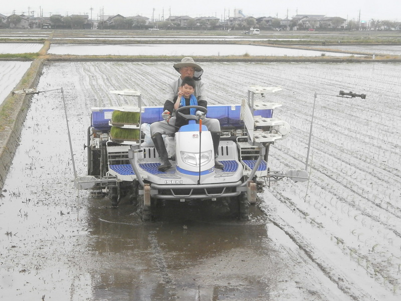 (クリックして拡大表示) 田植え始めました。 田植え