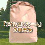 フォレストファームの自然栽培ササニシキです。(無農薬、無肥料)