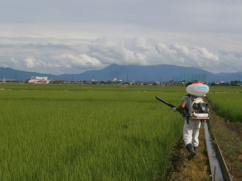 (¥¯¥ê¥Ã¥¯¤·¤Æ³ÈÂçɽ¼¨) ÊæÈî»¶ÉÛÃæ ÊæÈî»¶ÉÛÃæ