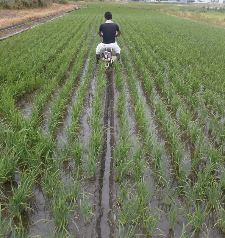 (クリックして拡大表示) 溝切り作業開始 溝切り