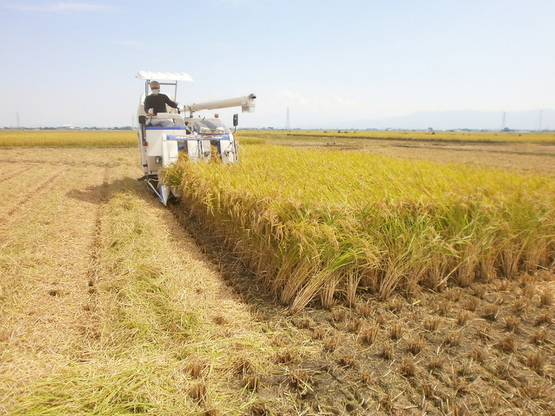 (¥¯¥ê¥Ã¥¯¤·¤Æ³ÈÂçɽ¼¨) °ð´¢¤ê»Ï¤á¤Þ¤·¤¿¡£ °ð´¢¤ê»Ï¤á¤Þ¤·¤¿¡£