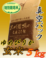 厳選米ドットコム】黒川農場のらんこし米特別栽培 ゆめぴりか(北海道産)