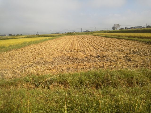 (クリックして拡大表示) 稲刈りが終了しました。 見晴らしが良くなりました。
