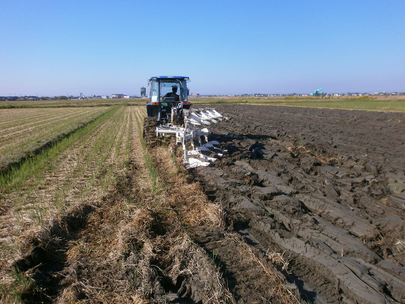 (¥¯¥ê¥Ã¥¯¤·¤Æ³ÈÂçɽ¼¨) Íèǯ¤Î½àÈ÷¤Ç¤¹¡£ ¥×¥é¥¦ºî¶È