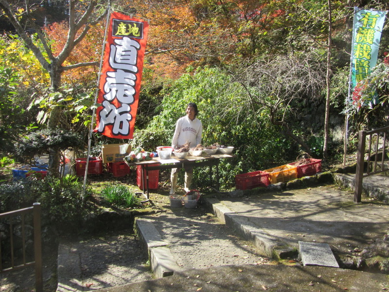 (クリックして拡大表示) 一人マルシェ 紅葉に比べ売上げサッパリ!