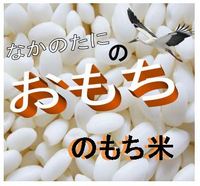 ��������ơ��ʤ��Τ��ˤΤ�����Ѥ����̺��ݥޥ󥲥ĥ���������������