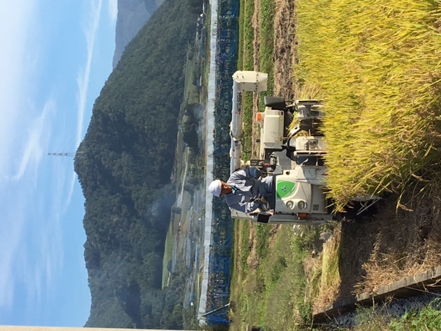 (クリックして拡大表示) 今年を振り返って  蔵王連峰をバックにして刈り納めの日