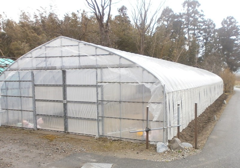 (¥¯¥ê¥Ã¥¯¤·¤Æ³ÈÂçɽ¼¨) °éÉĥϥ¦¥¹¤Î¥Ó¥Ë¡¼¥ëÄ¥¤ê ¥Ó¥Ë¡¼¥ëÄ¥¤ê