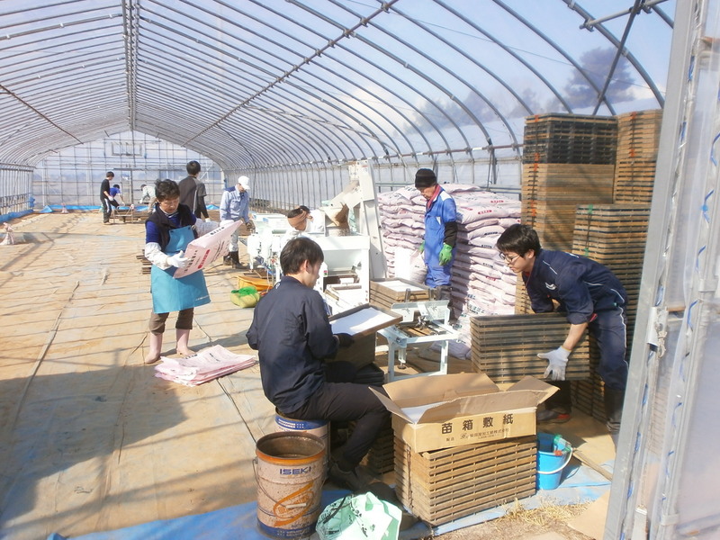 (¥¯¥ê¥Ã¥¯¤·¤Æ³ÈÂçɽ¼¨) H29ǯ»º¤Î°ð¤Î¼ï¤Þ¤¤ò¤·¤Þ¤·¤¿¡£ ¼ï¤Þ¤